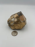 Power Point - Cobra Jasper