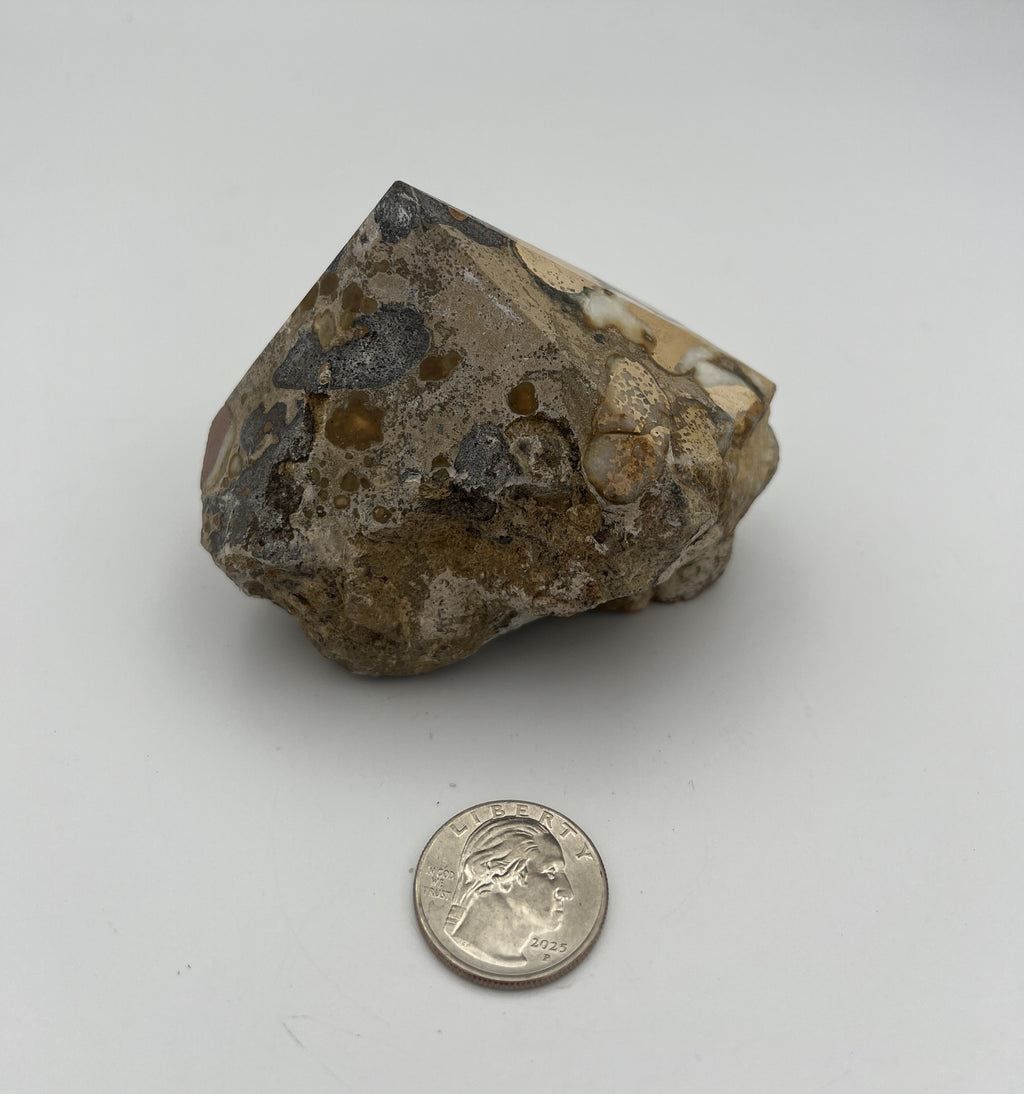Power Point - Cobra Jasper
