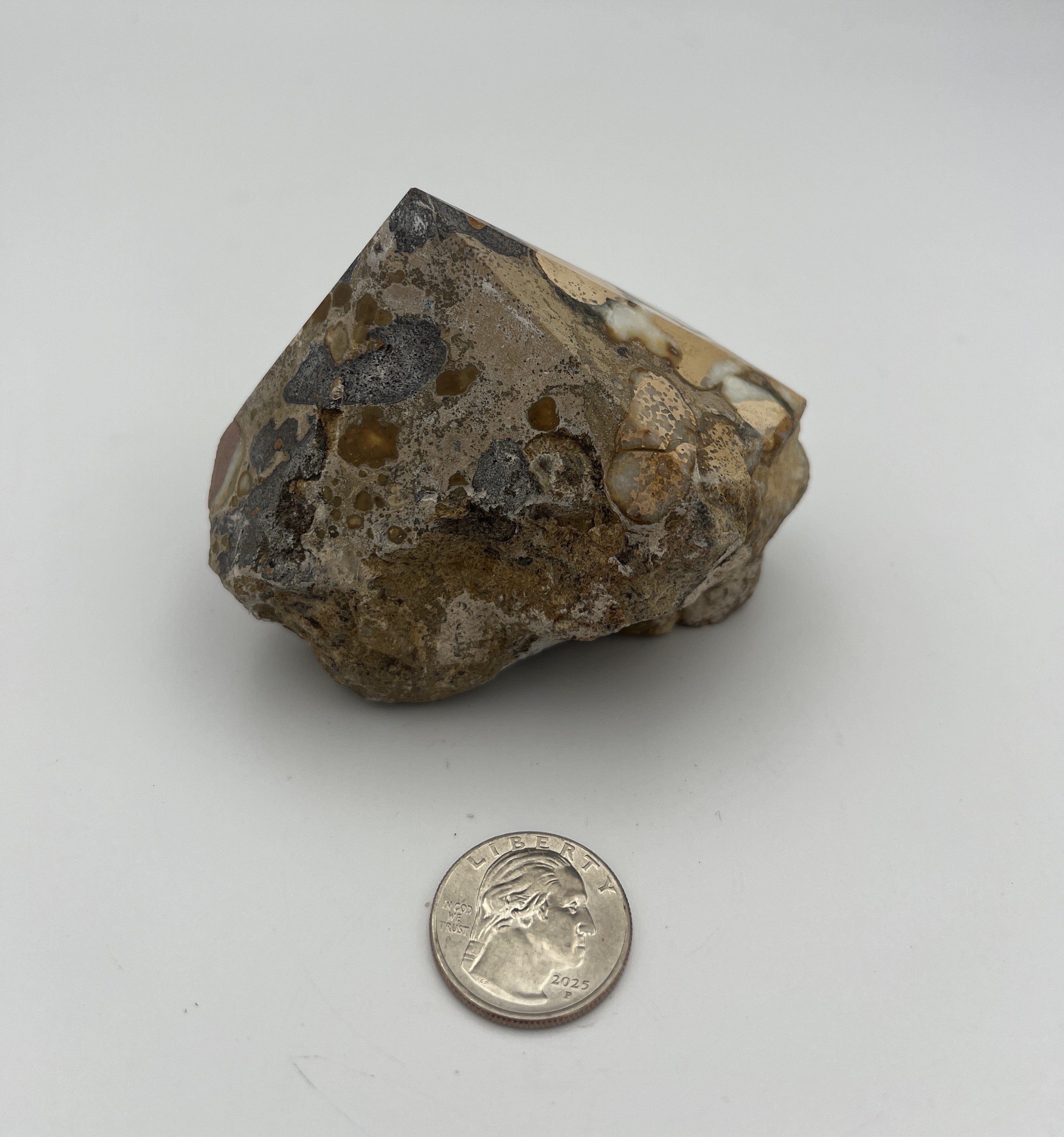 Power Point - Cobra Jasper