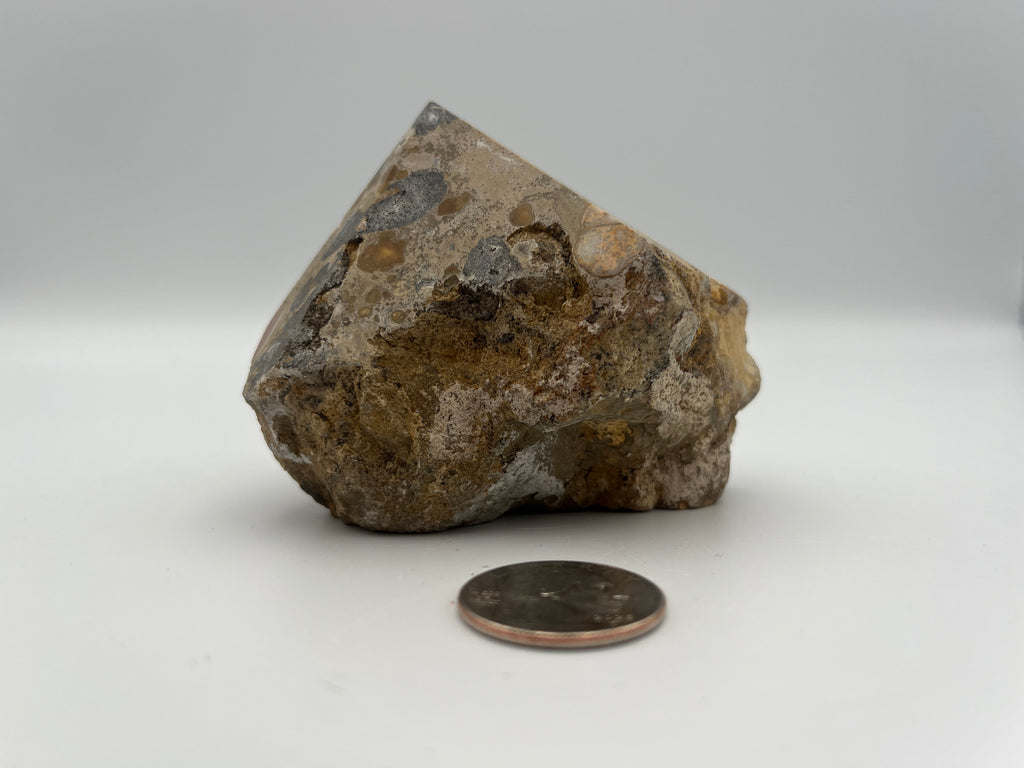 Power Point - Cobra Jasper