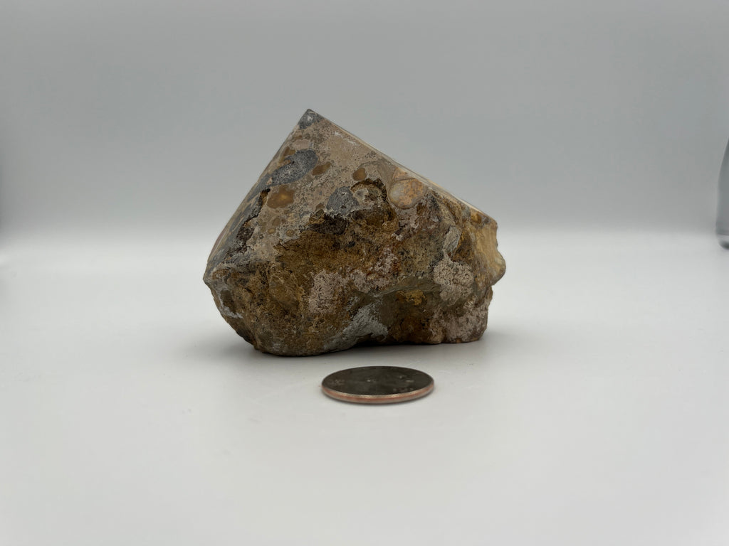 Power Point - Cobra Jasper