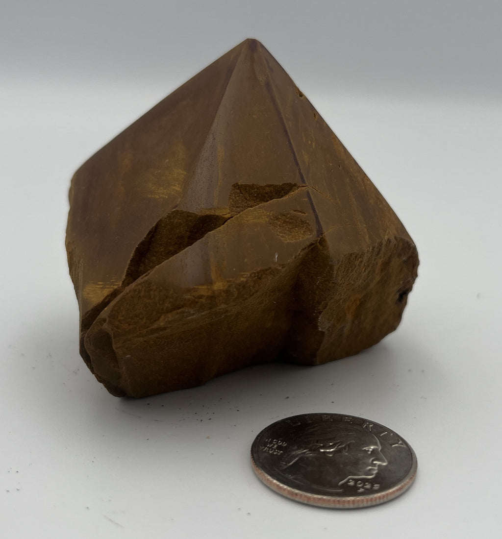 Power Point - Tiger Eye