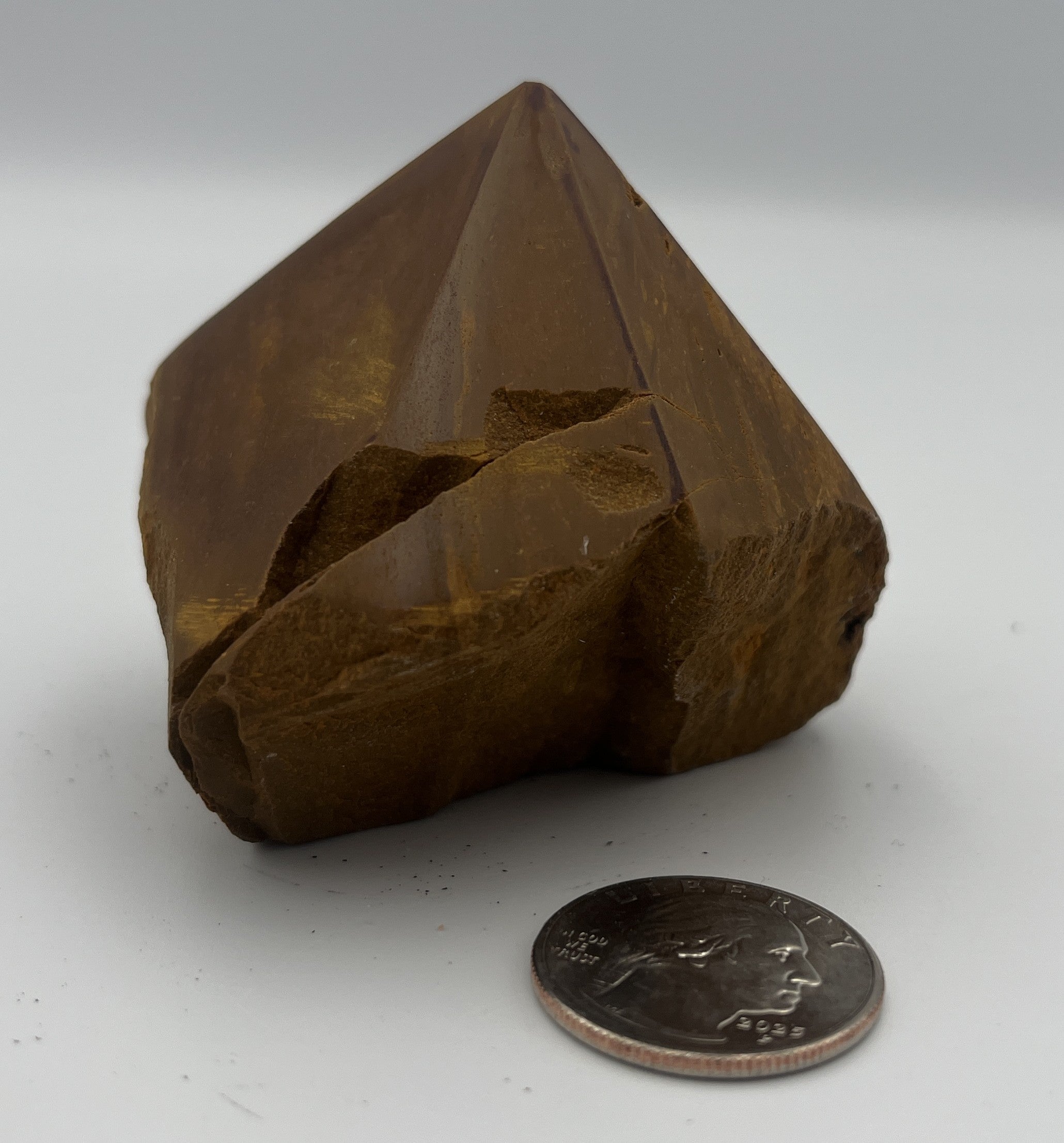 Power Point - Tiger Eye