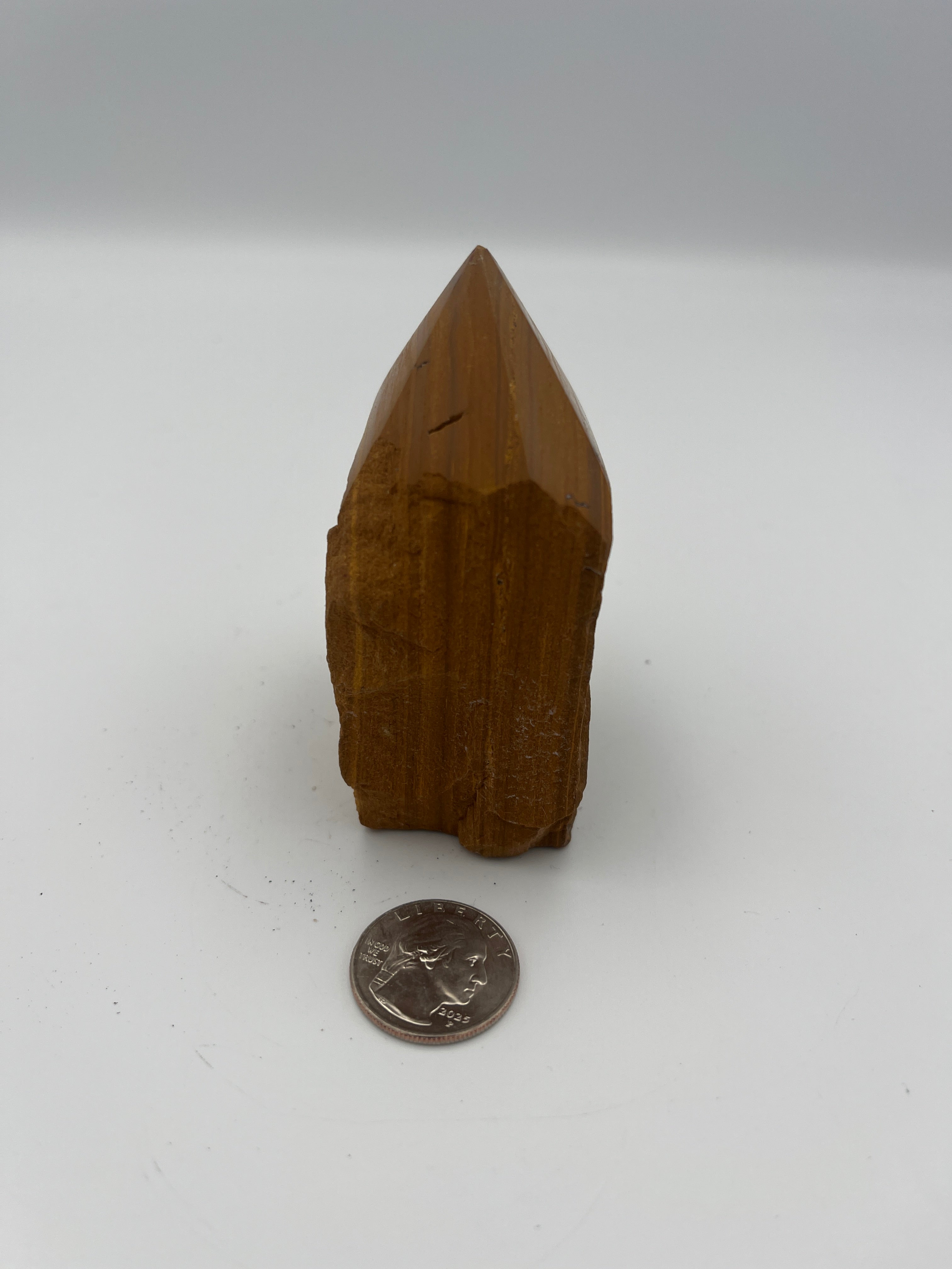 Power Point - Tiger Eye