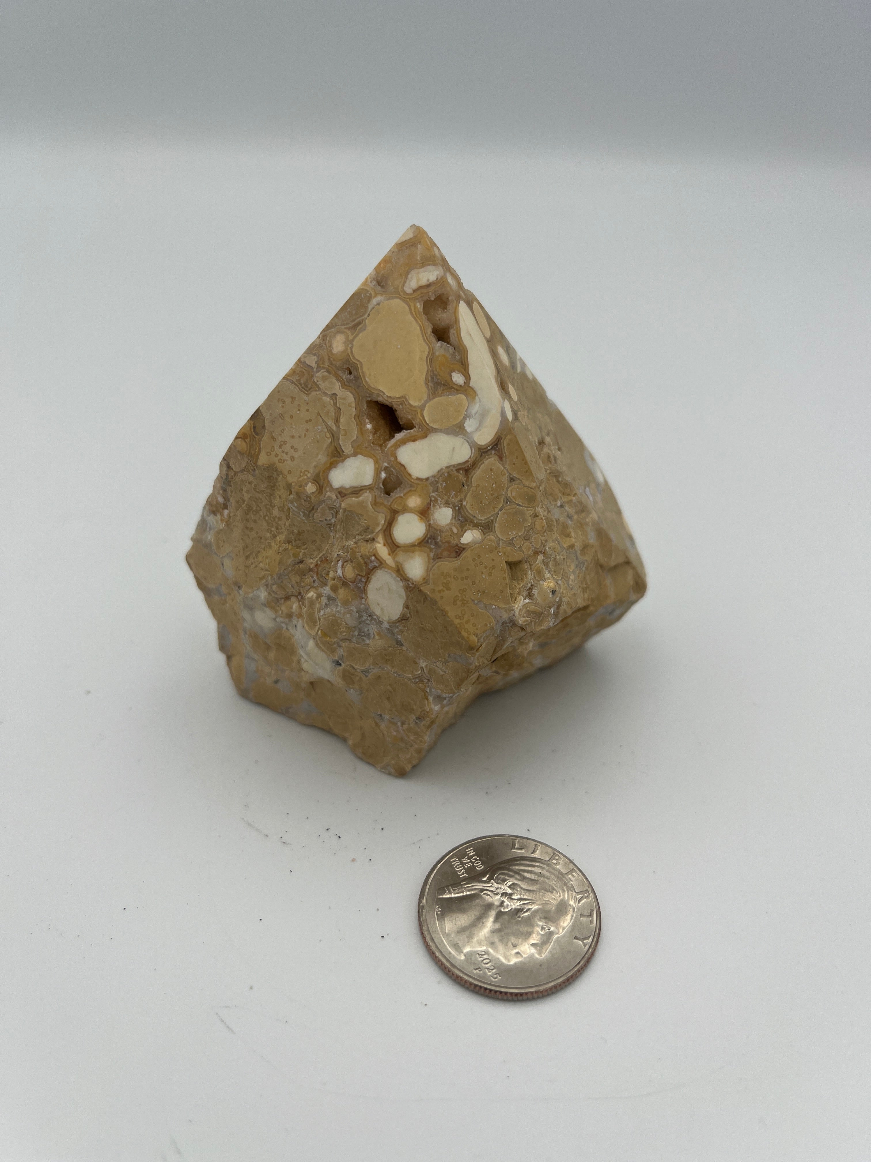 Power Point - Cobra Jasper