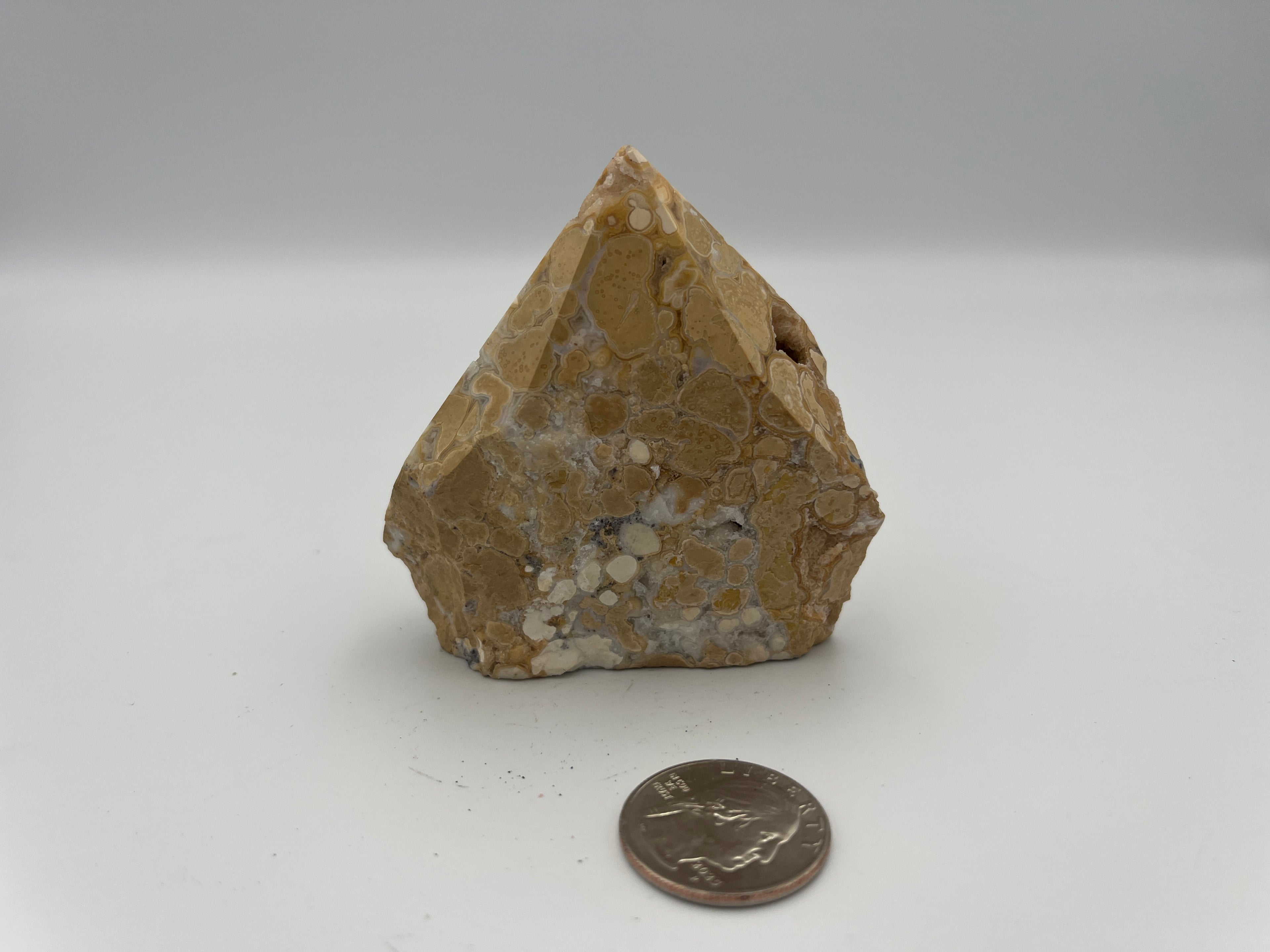 Power Point - Cobra Jasper