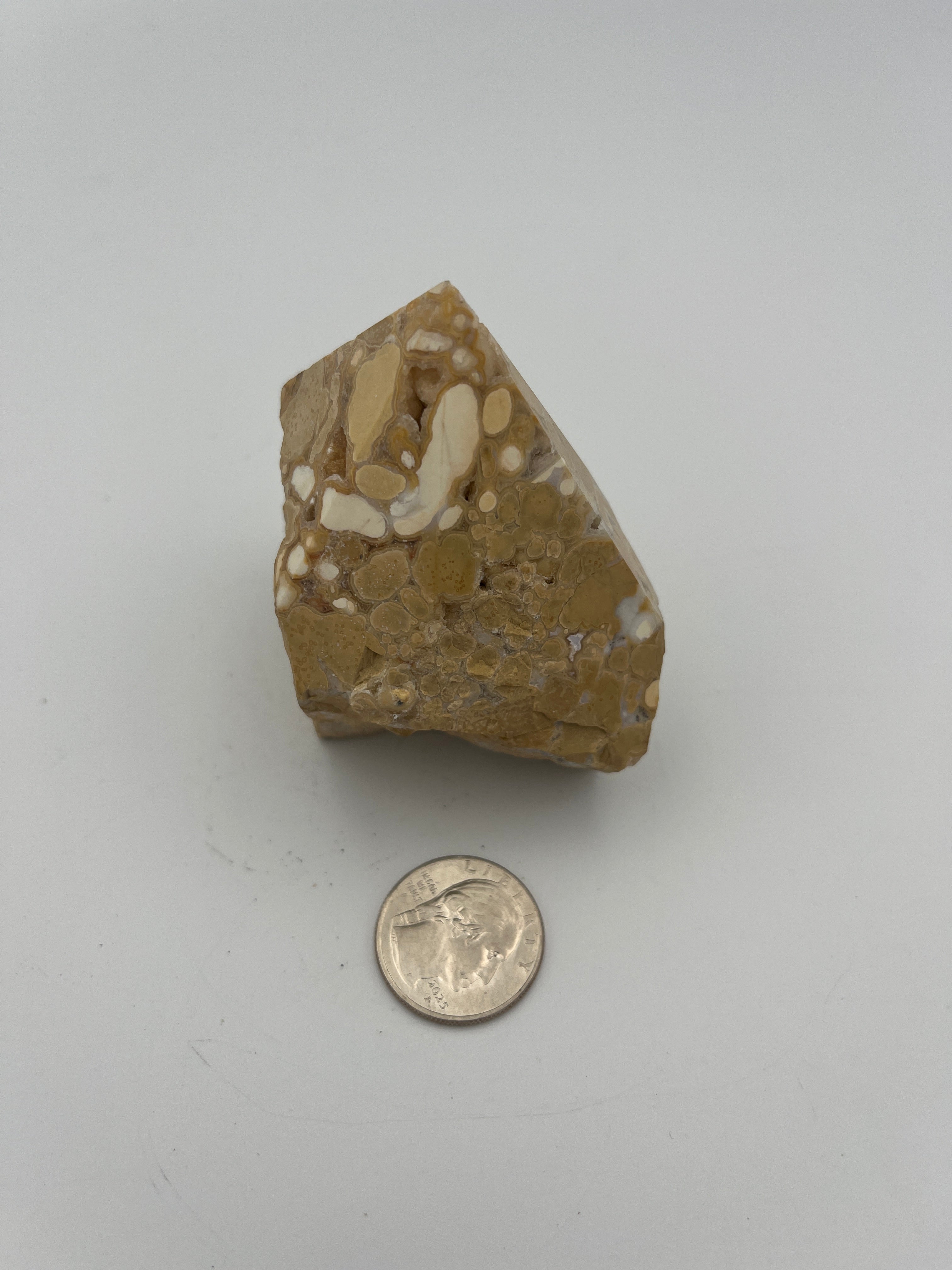 Power Point - Cobra Jasper