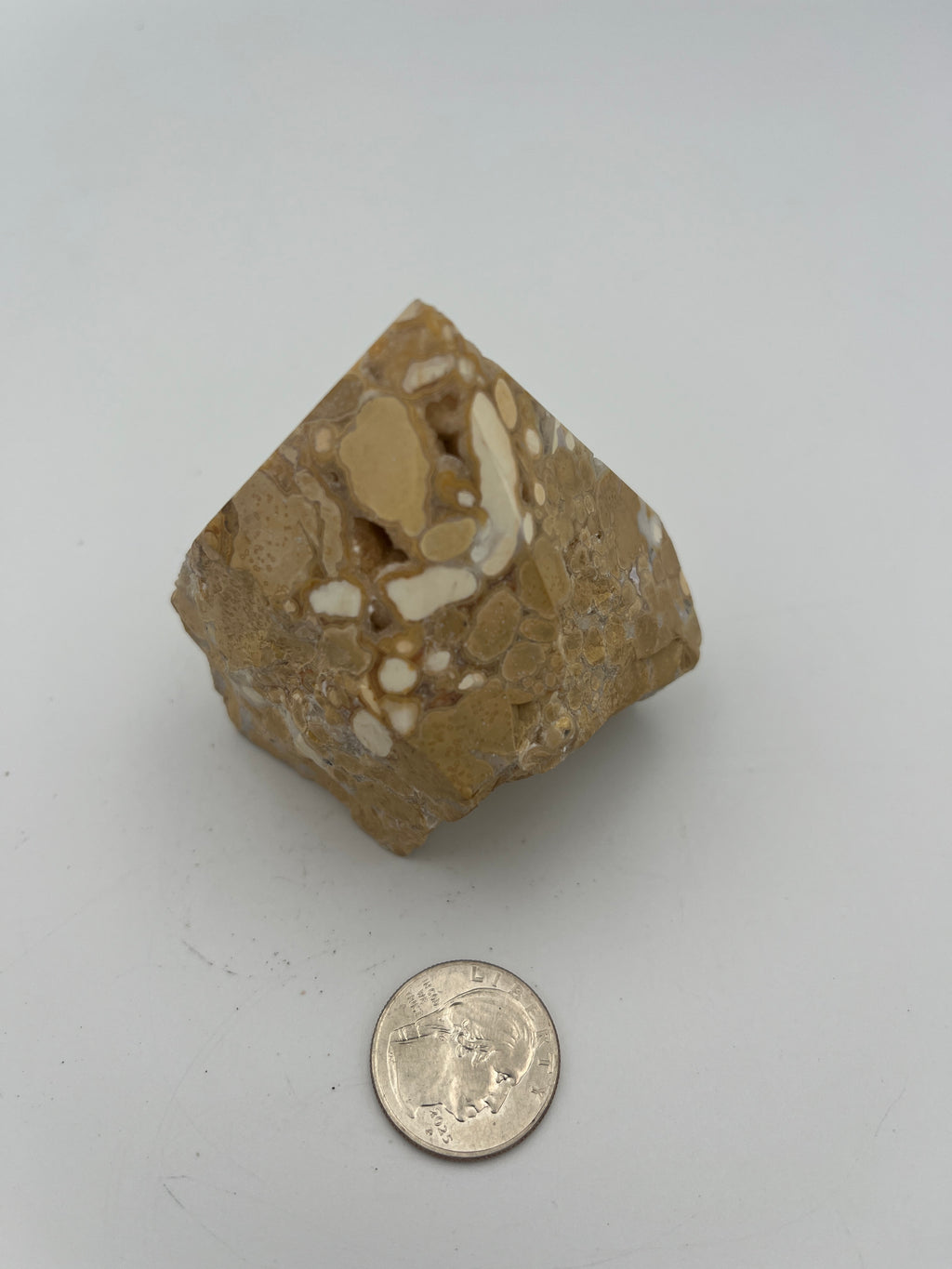 Power Point - Cobra Jasper