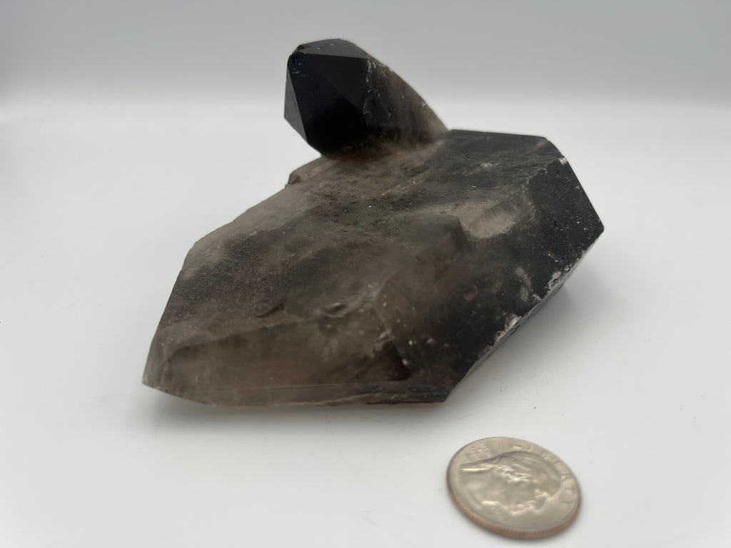 Smokey Quartz Cluster (awesome double term)