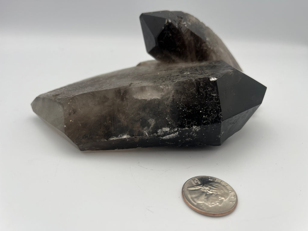 Smokey Quartz Cluster (awesome double term)