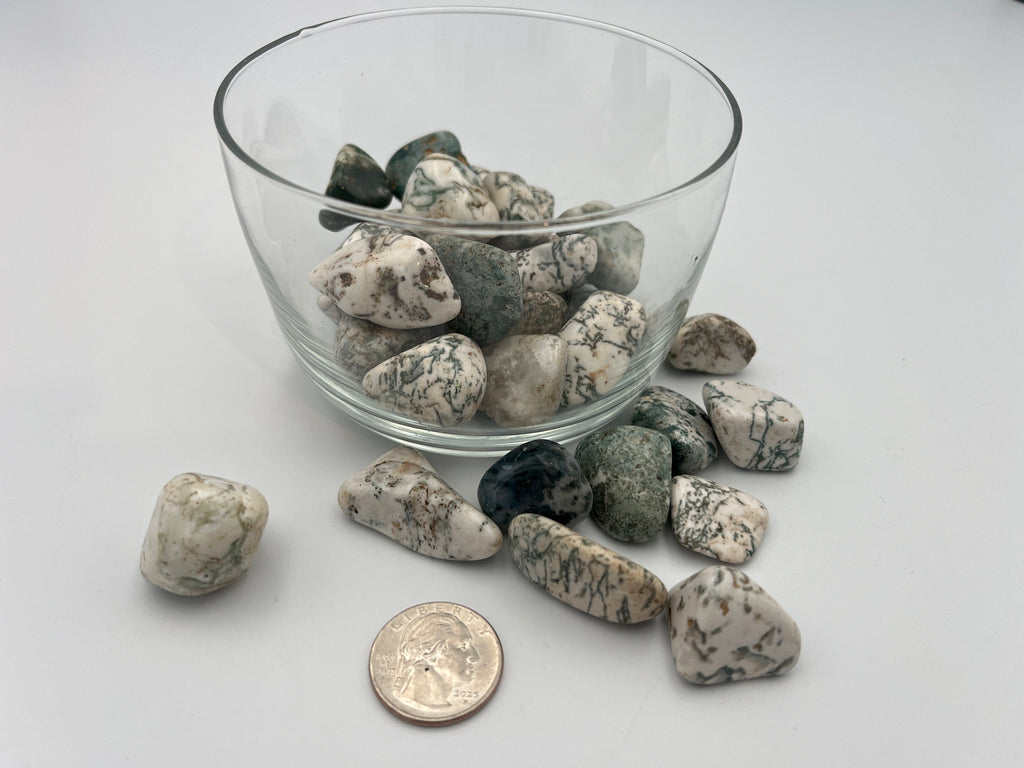 Tumbled Stone - Tree Agate S.Africa