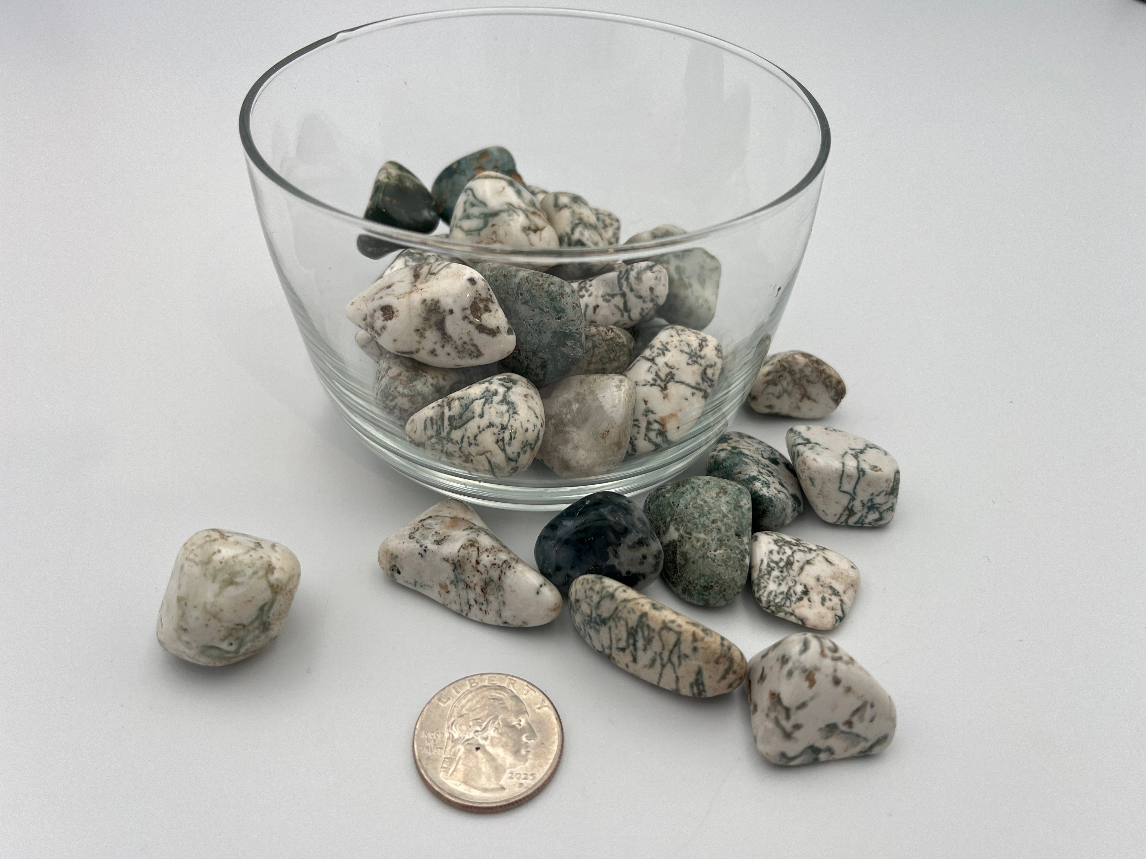 Tumbled Stone - Tree Agate S.Africa