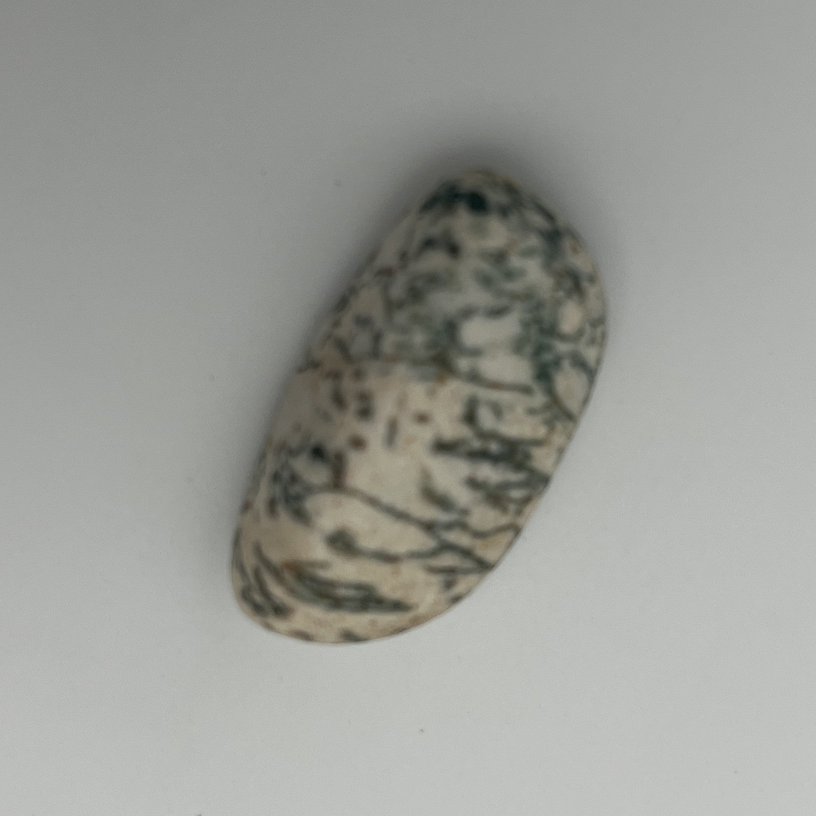 Tumbled Stone - Tree Agate S.Africa