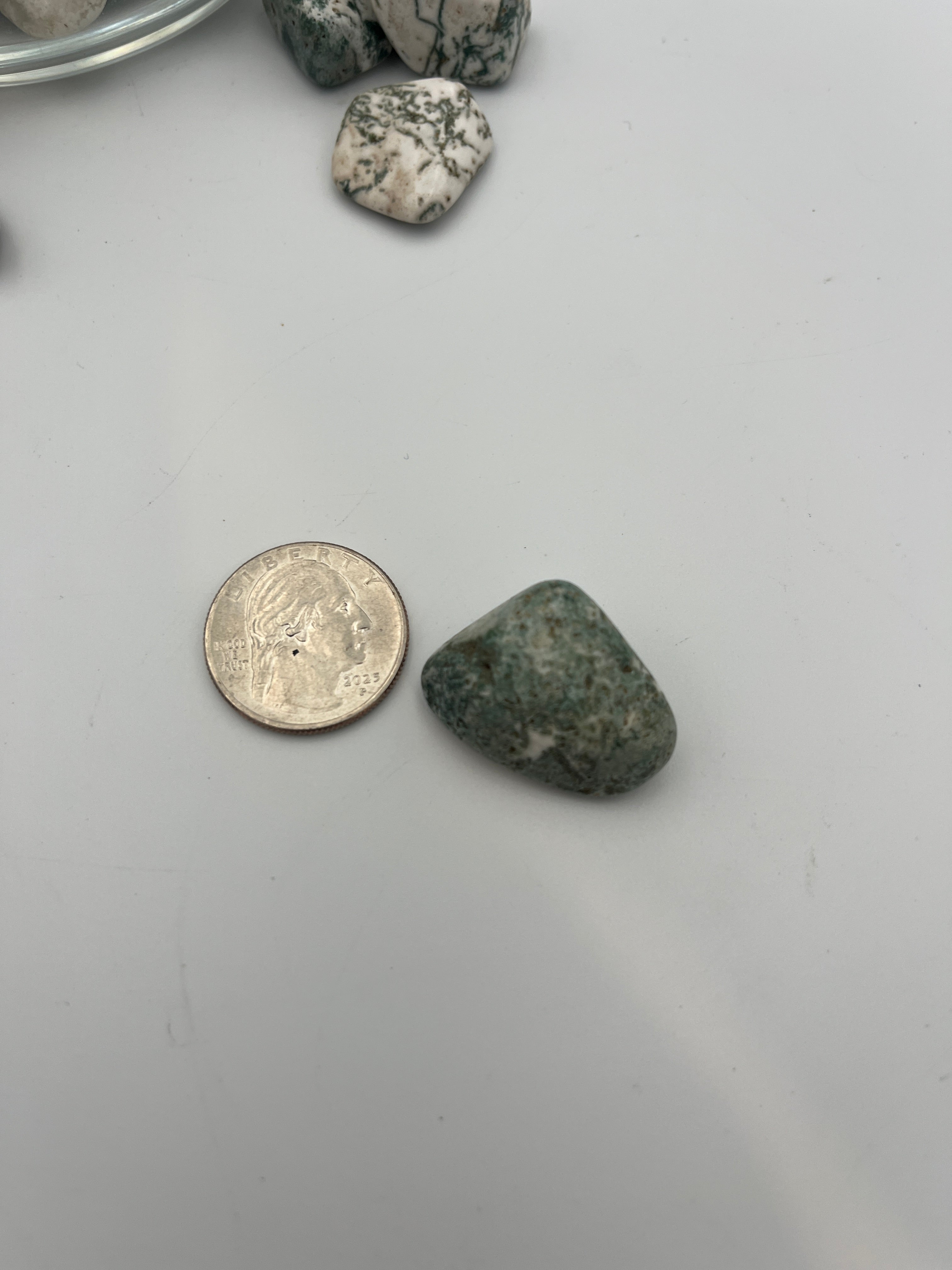 Tumbled Stone - Tree Agate S.Africa