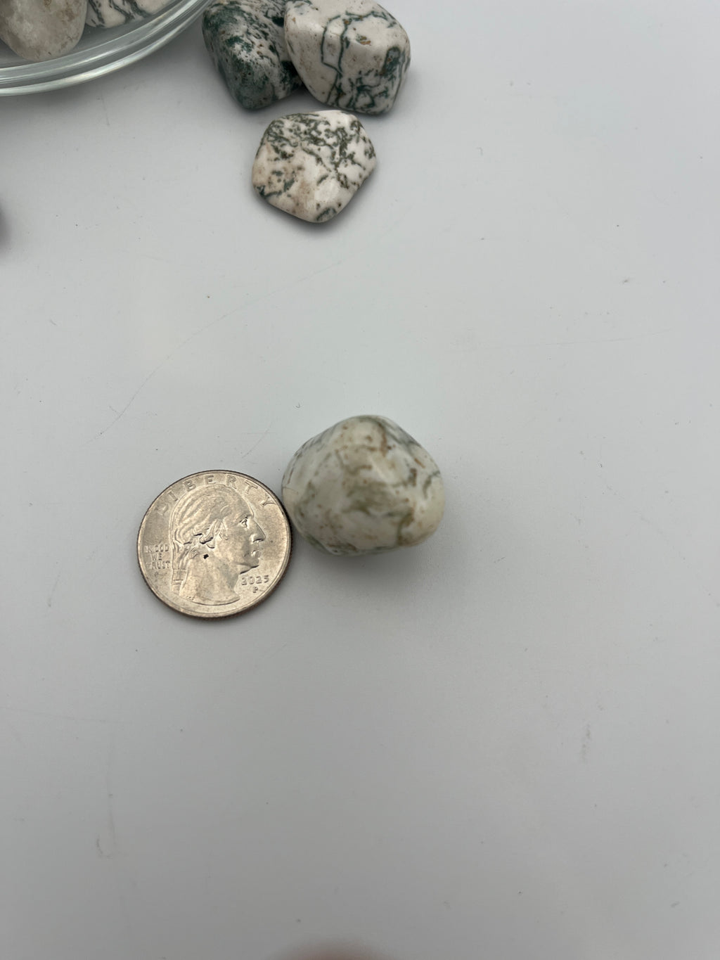 Tumbled Stone - Tree Agate S.Africa