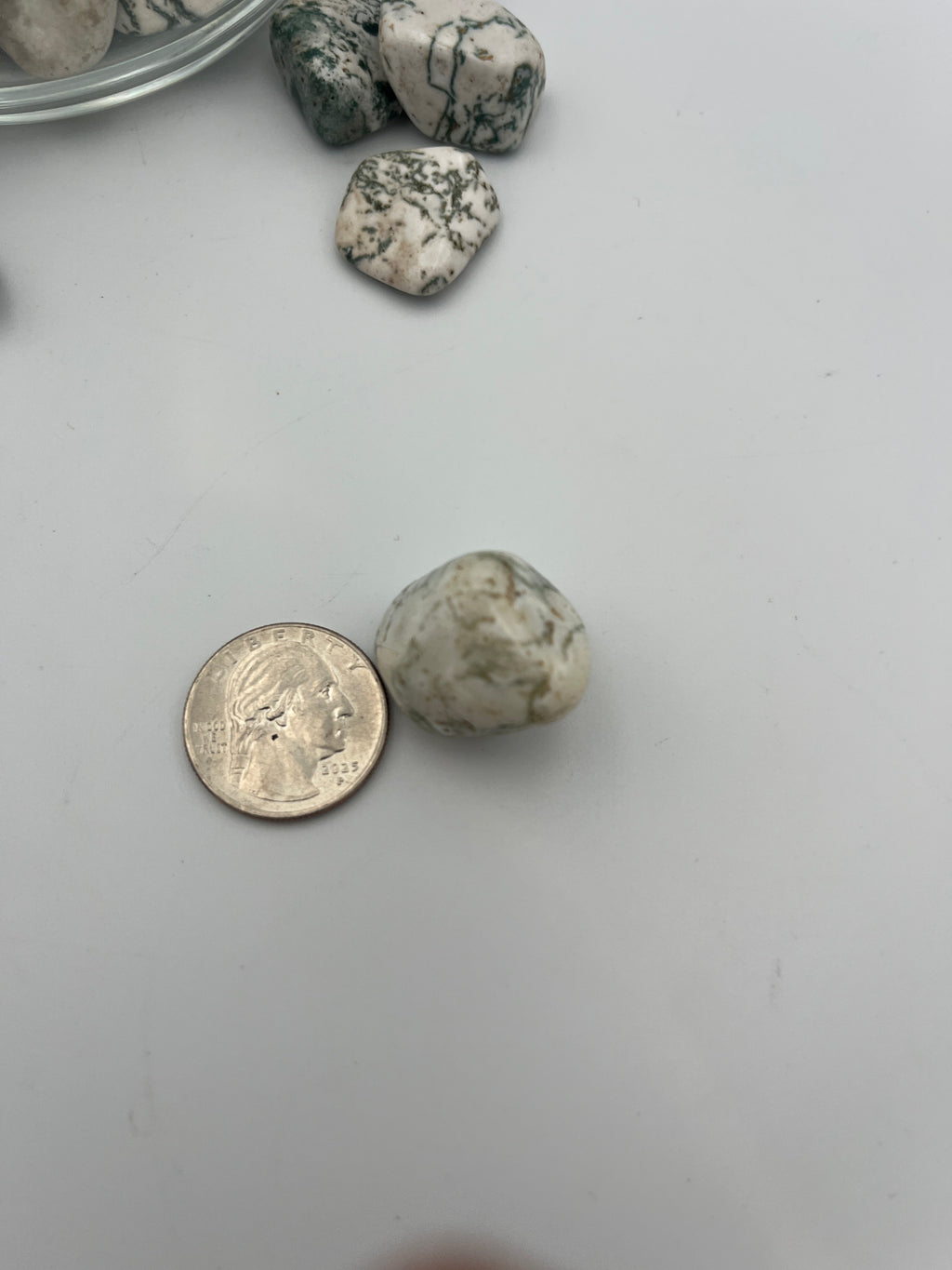 Tumbled Stone - Tree Agate S.Africa