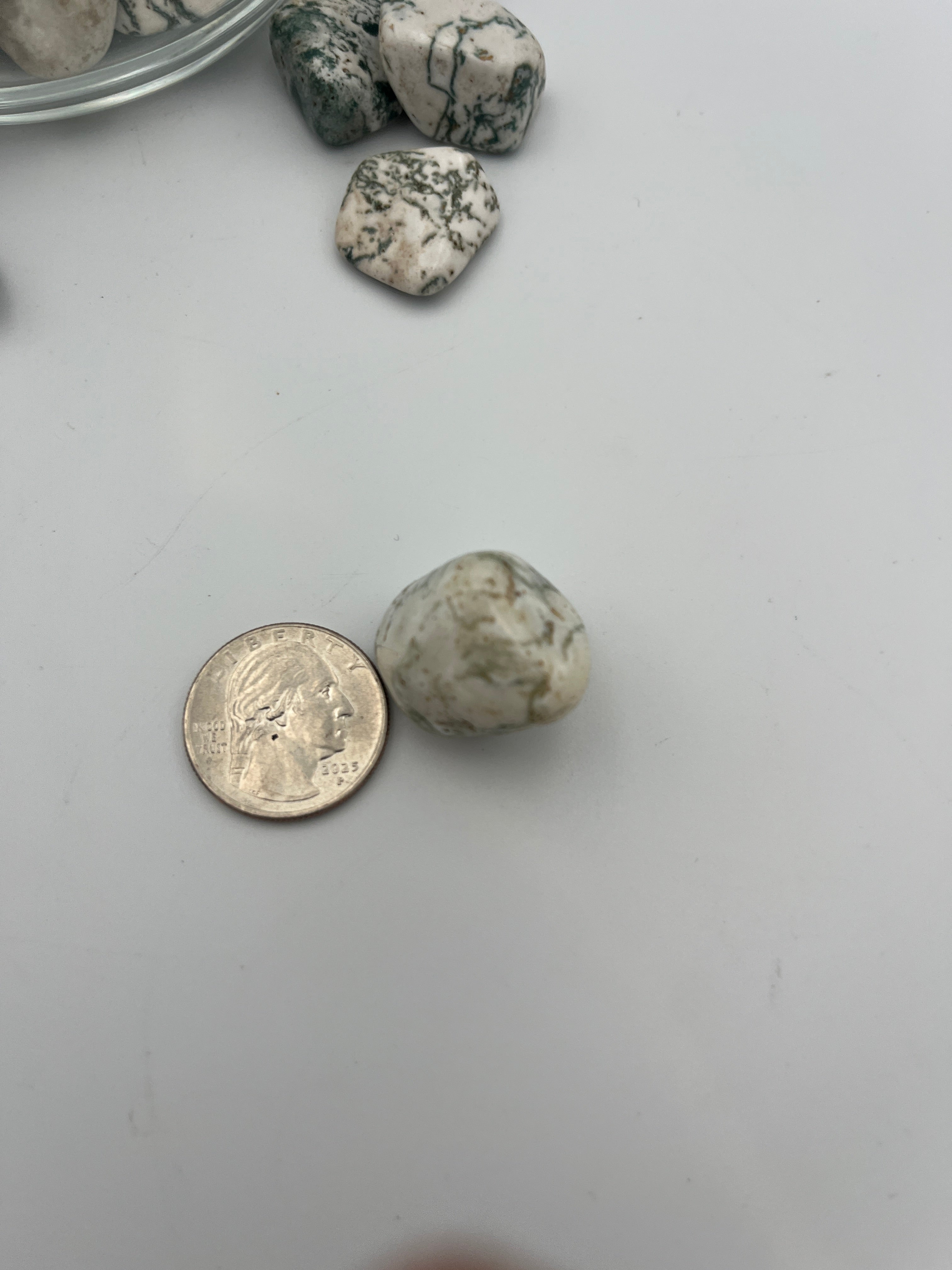 Tumbled Stone - Tree Agate S.Africa