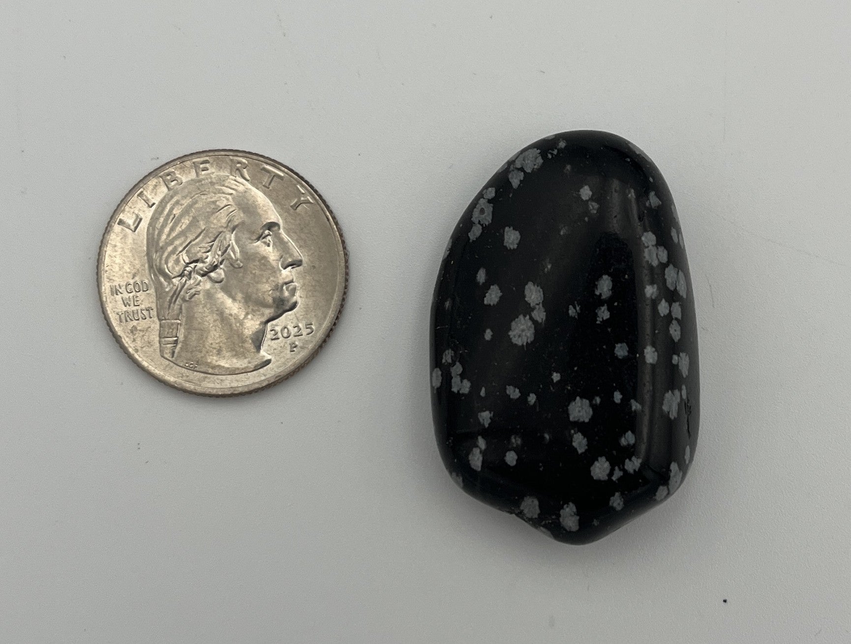 Tumbled Stone - Snowflake Obsidian S.Africa
