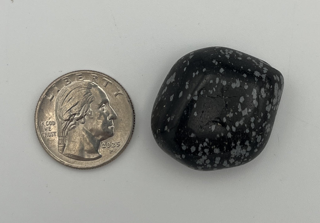 Tumbled Stone - Snowflake Obsidian S.Africa
