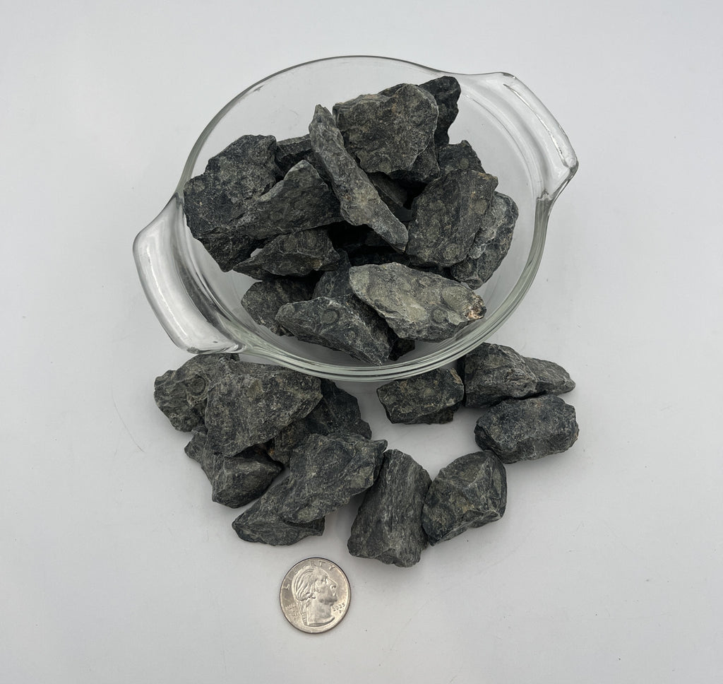 Rough Kambaba (Crocodile) Jasper, 20-40g