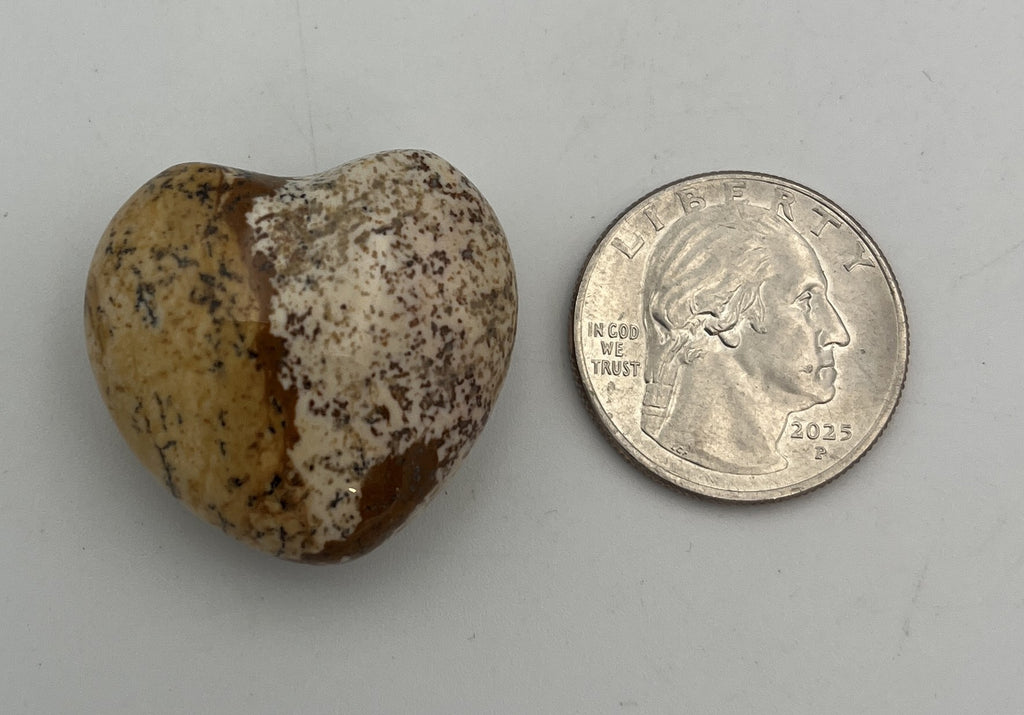 30mm Pocket Hearts - Picture Jasper