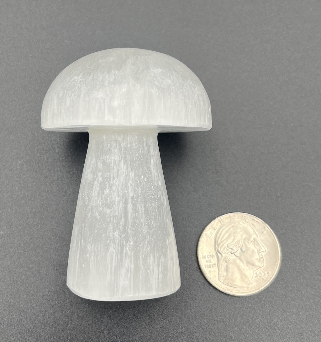 Selenite 2.5" Mushroom