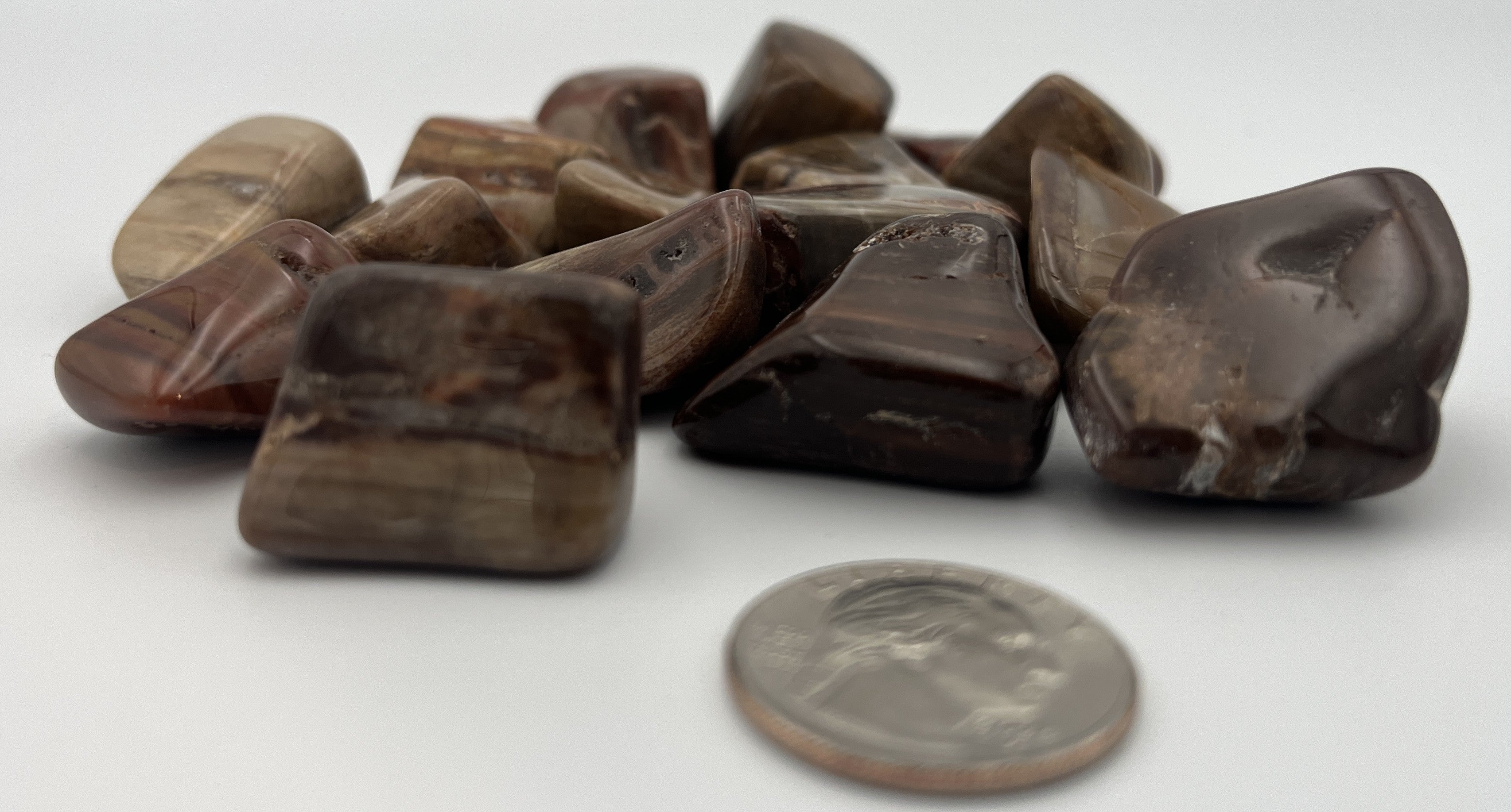 Tumbled Stone from Madagascar - Petrified Wood, 20-45mm