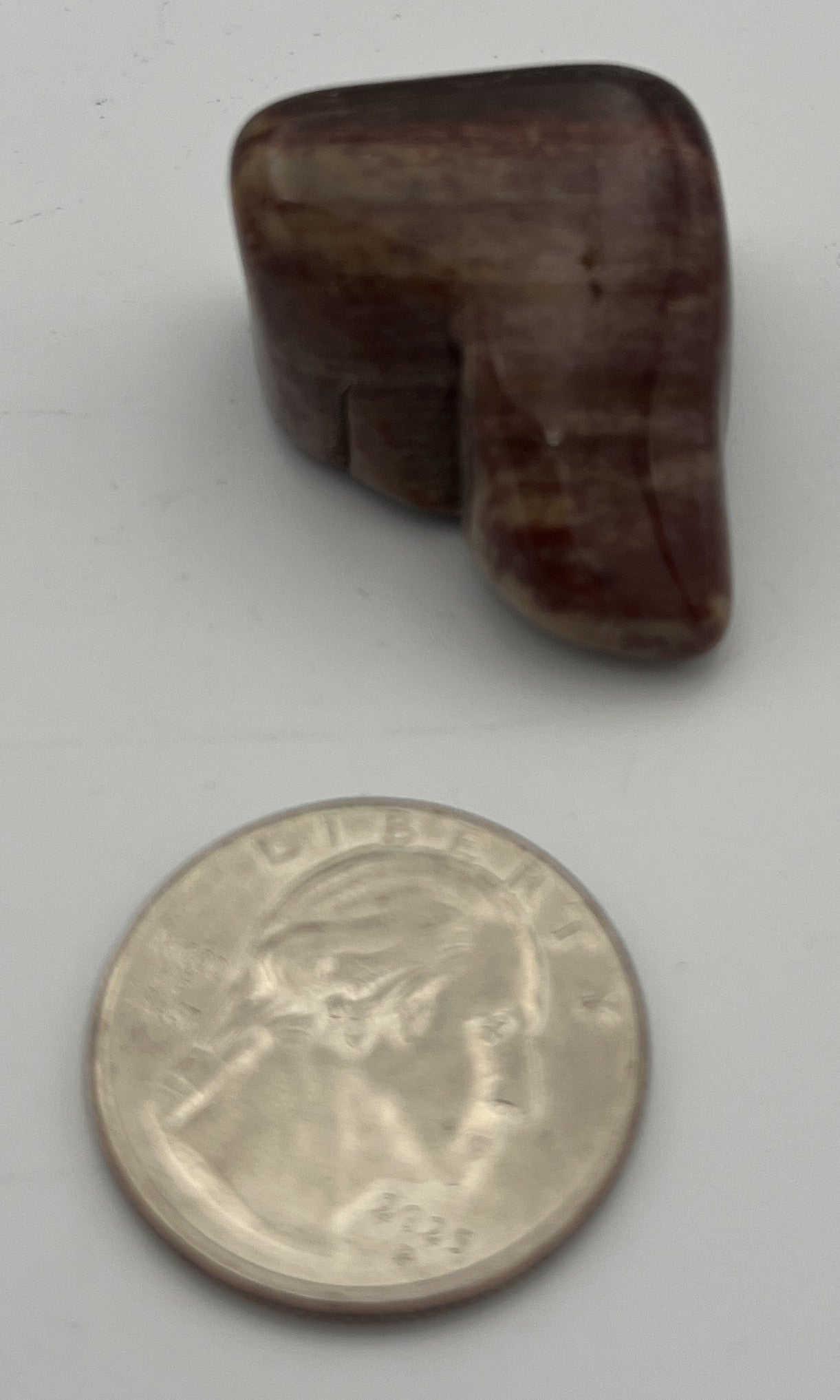 Tumbled Stone from Madagascar - Petrified Wood, 20-45mm
