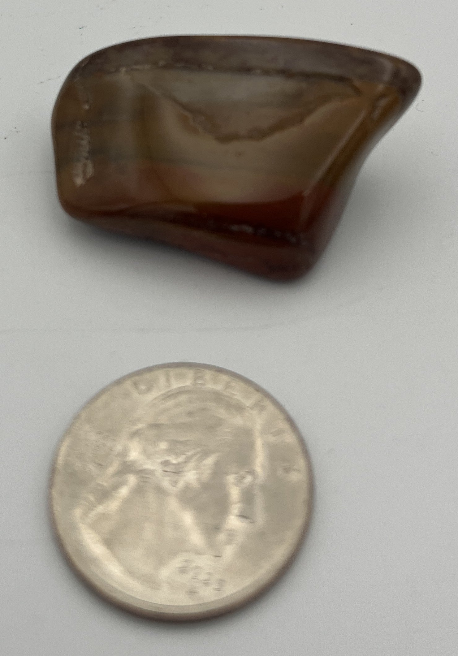 Tumbled Stone from Madagascar - Petrified Wood, 20-45mm