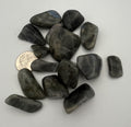 Tumbled Stone from Madagascar - Labradorite, 20-45mm