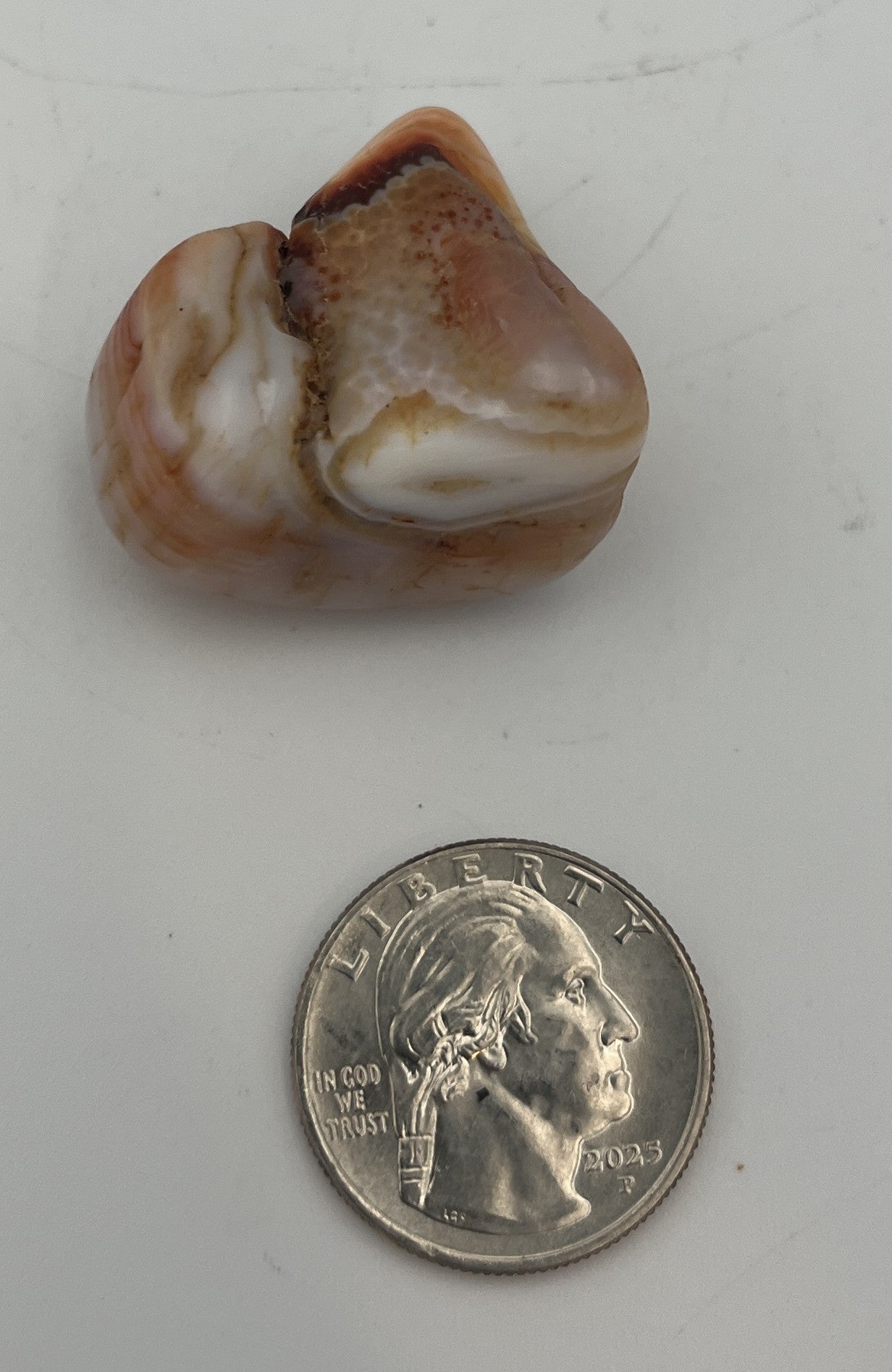 Tumbled Stone from Madagascar - Carnelian, 20-45mm