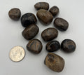 Tumbled Stone from China - Stromatolite