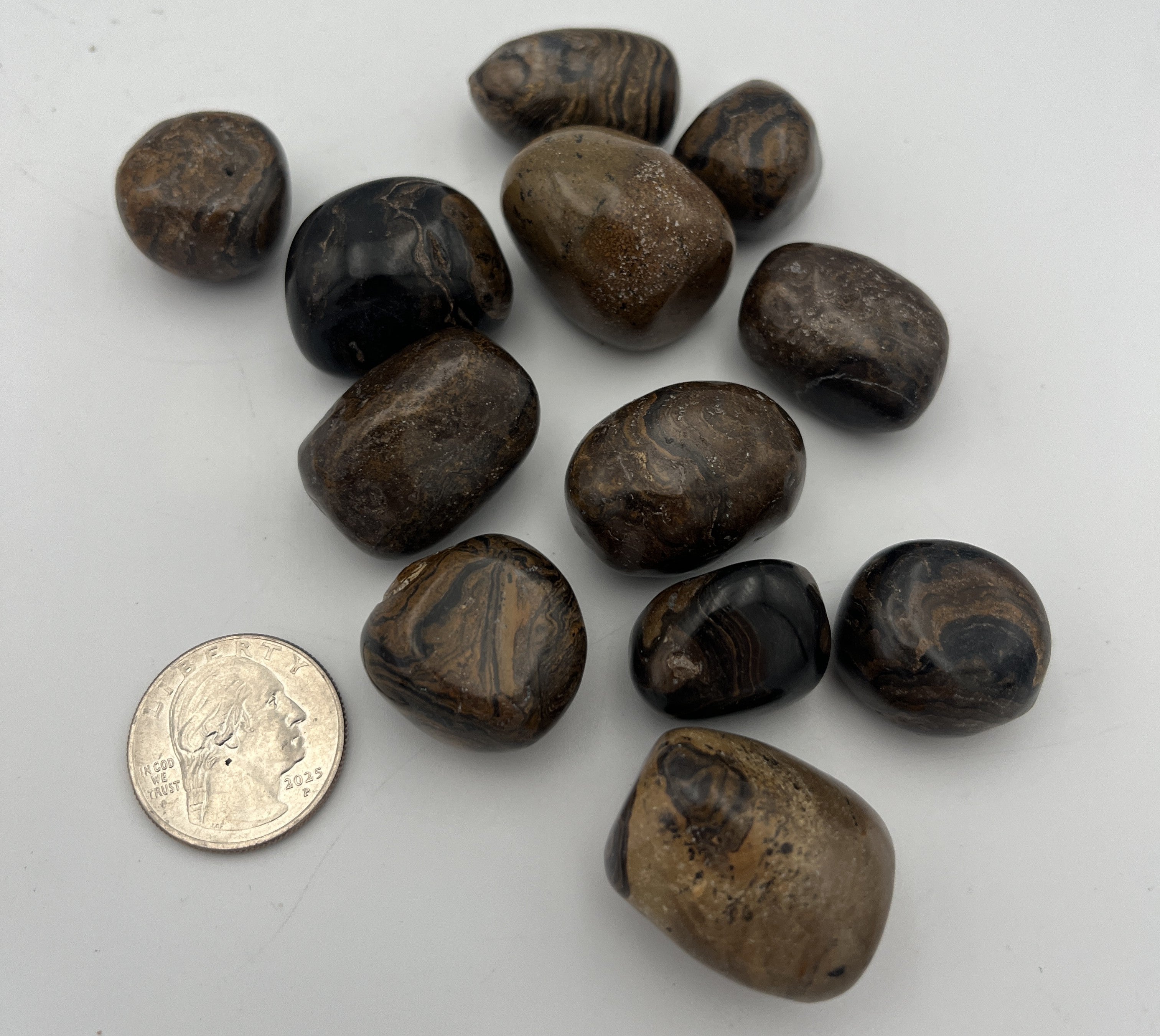Tumbled Stone from China - Stromatolite