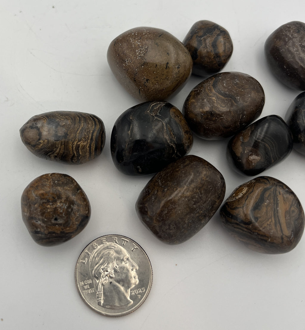 Tumbled Stone from China - Stromatolite