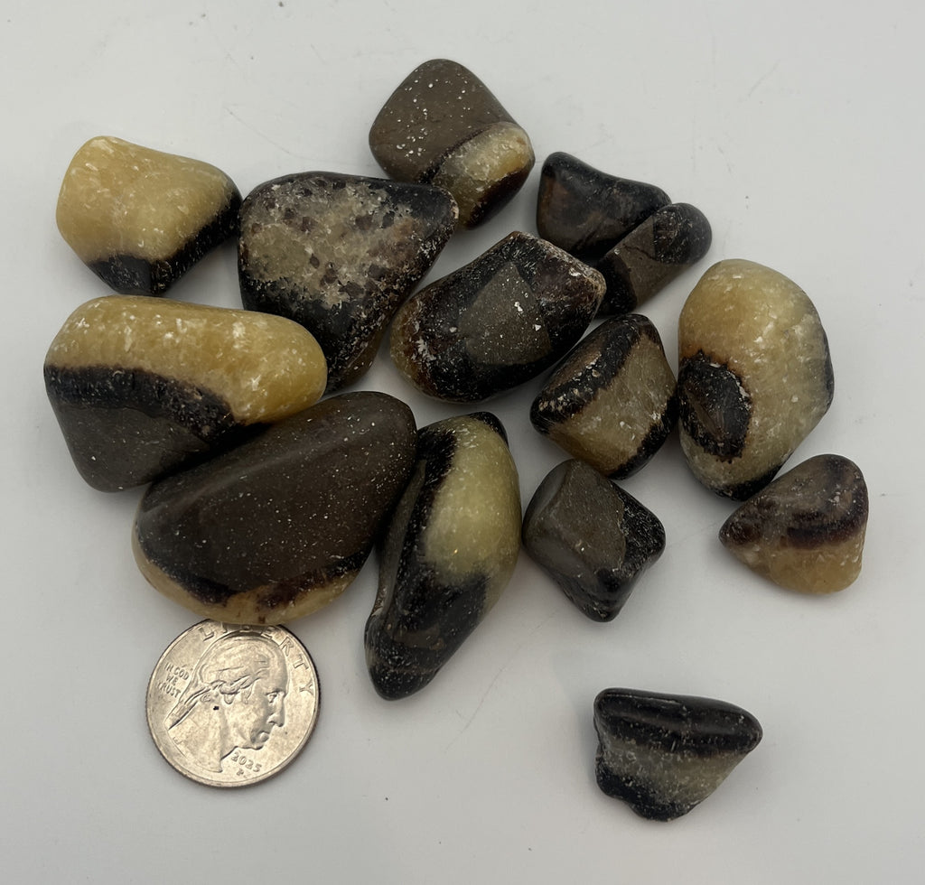 Tumbled Stone from Madagascar - Septarian, 20-45mm
