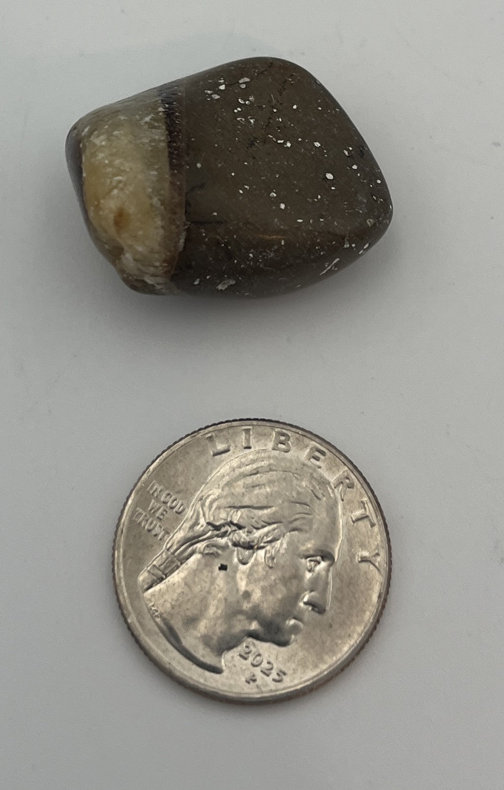 Tumbled Stone from Madagascar - Septarian, 20-45mm
