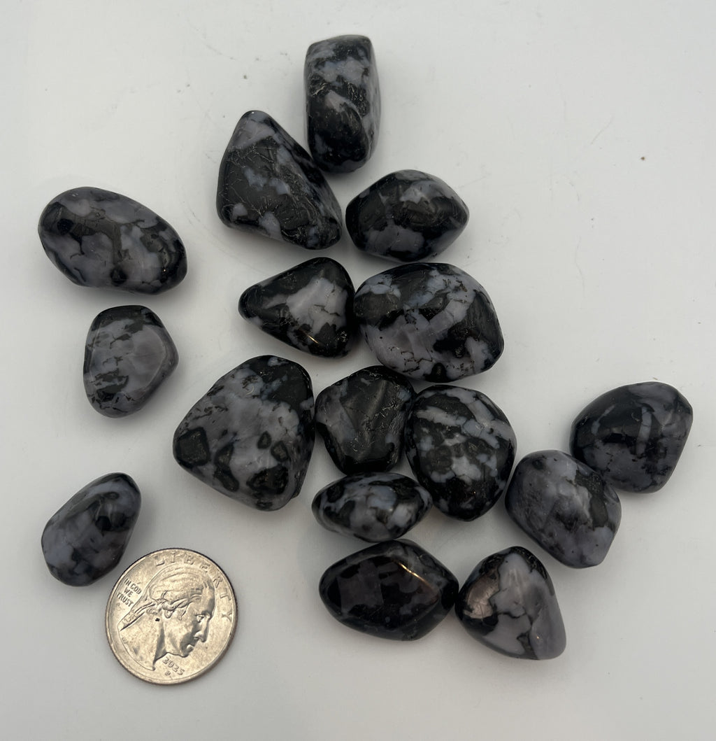Tumbled Stone from Madagascar - Indigo Gabbro, 20-45mm