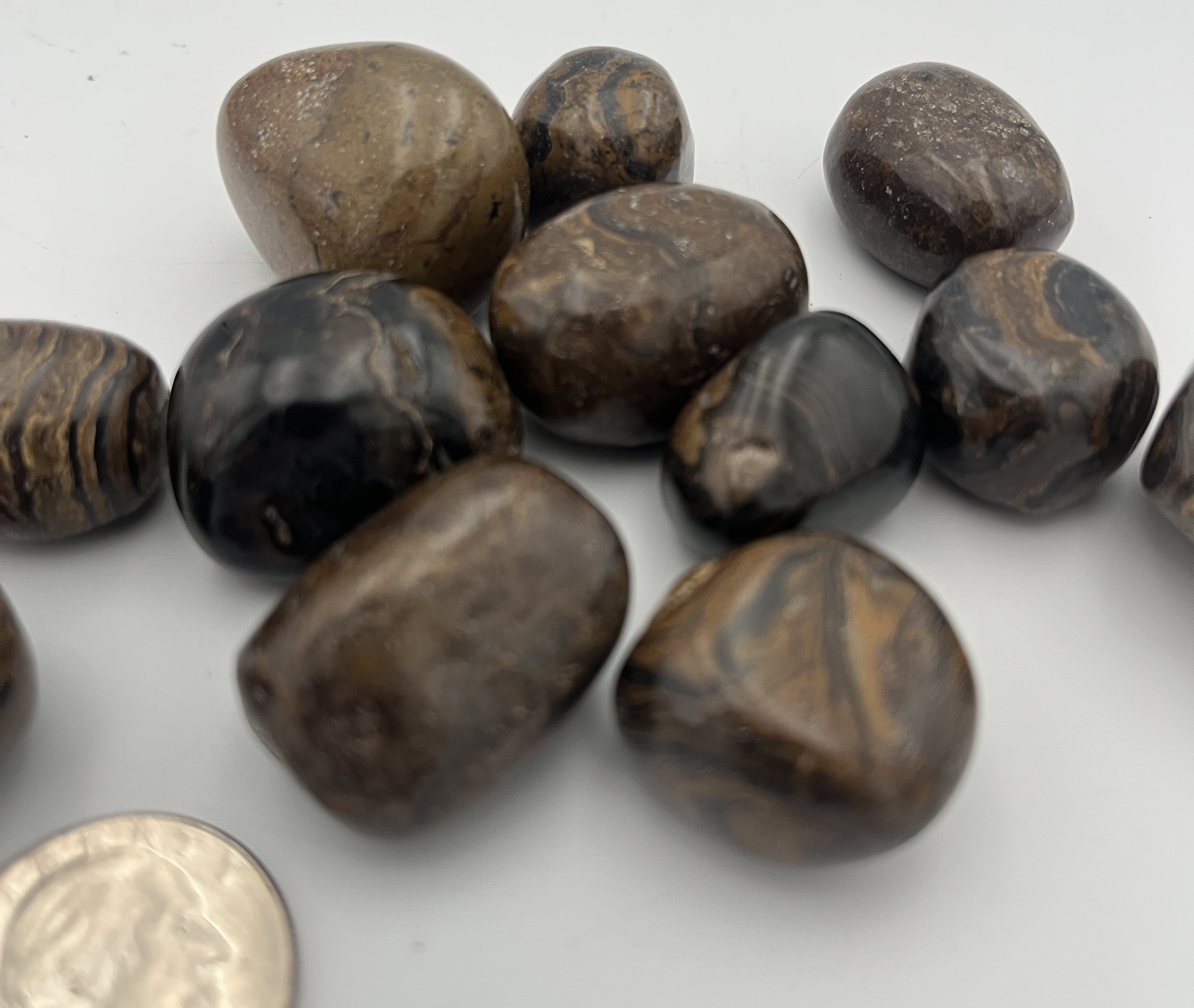 Tumbled Stone from China - Stromatolite